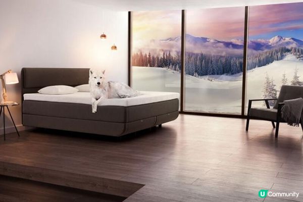 全台丹普專賣店新銳亮相，帶來北歐雪原的「極」靜體驗