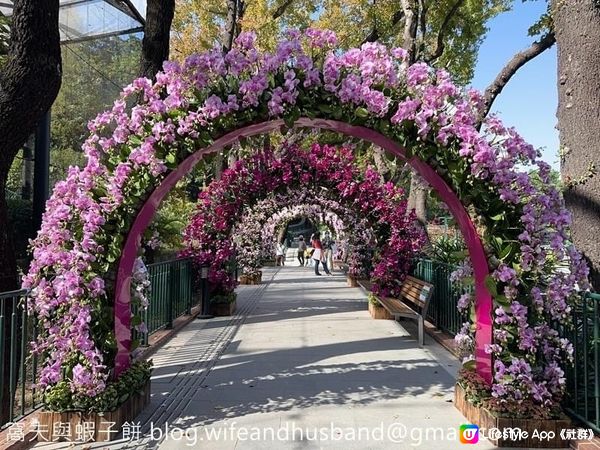 本地遊 | 中上環半日遊 | 由動植物公園走到文武廟