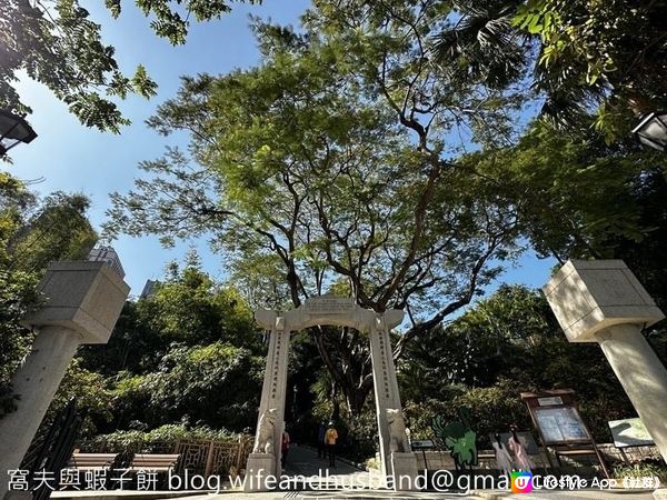 本地遊 | 香港動植物公園 | 必影打卡位蝴蝶蘭花廊 