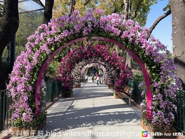 本地遊 | 香港動植物公園 | 必影打卡位蝴蝶蘭花廊 