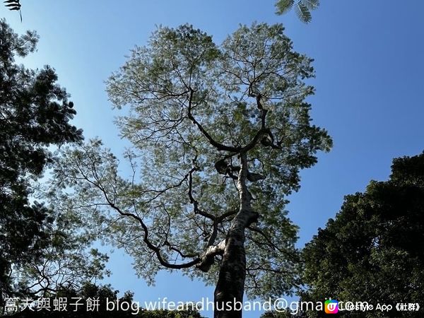 本地遊 | 香港動植物公園 | 必影打卡位蝴蝶蘭花廊 