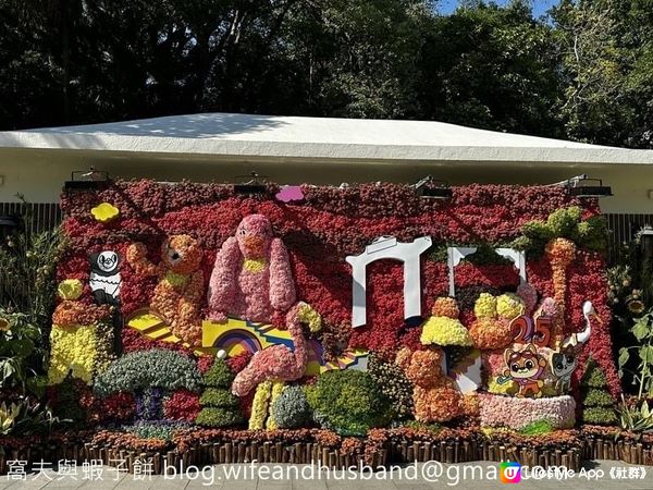 本地遊 | 香港動植物公園 | 必影打卡位蝴蝶蘭花廊 