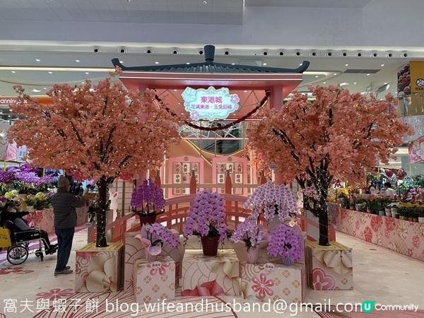 本地遊 | 2023年農曆新年精選商場打卡位