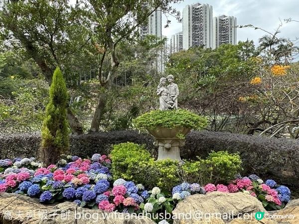 本地遊 | 坐港鐵遊香港 | 青衣站 | 兩個繡球花打卡熱點