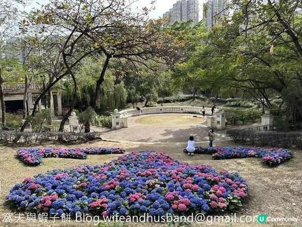 本地遊 | 坐港鐵遊香港 | 青衣站 | 兩個繡球花打卡熱點
