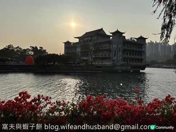 坐港鐵遊香港｜石門站｜安景街公園櫻花以外的驚喜