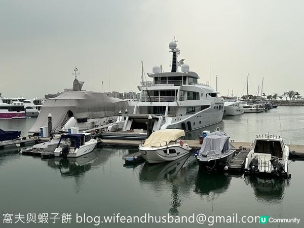 香港賞花 | 屯門 | 簕杜鵑與宮粉羊蹄甲