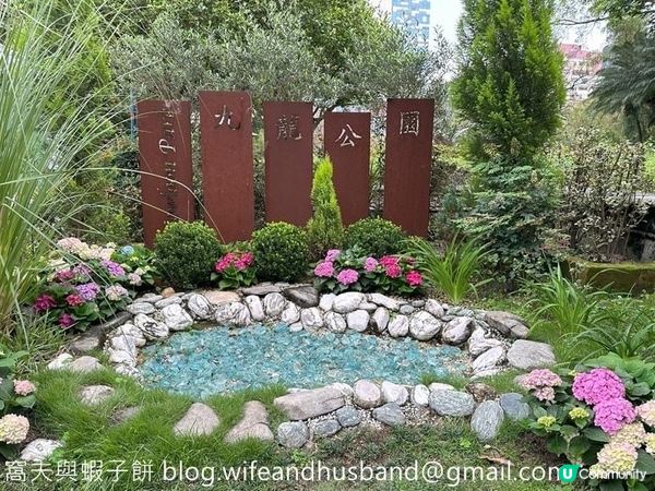 香港賞花｜九龍公園｜今年最後一輯繡球花照片