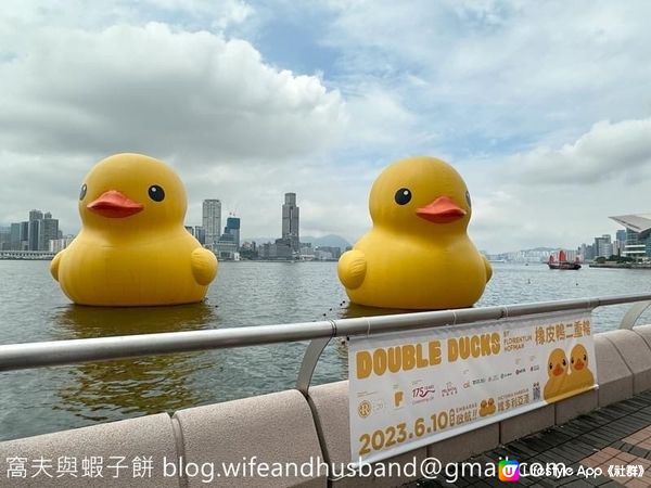 香港打卡熱點 | 橡皮鴨二重暢 | 四訪黃色巨鴨