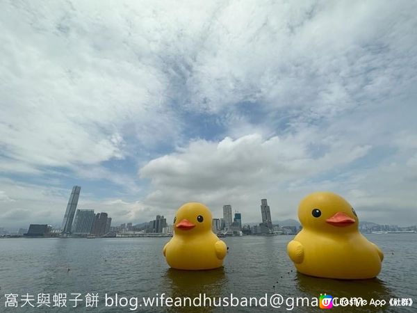 香港打卡熱點 | 橡皮鴨二重暢 | 四訪黃色巨鴨