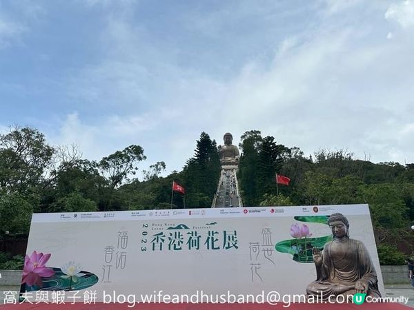 香港遊．大嶼山．寶蓮禪寺．香港荷花節 (上)