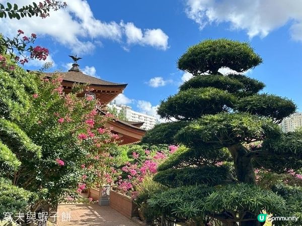 坐港鐵遊香港 | 鑽石山站 | 南蓮園池與志蓮淨苑 