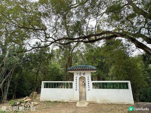 坐港鐵遊香港 | 東鐵線沙田站 | 道風山