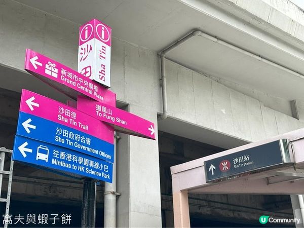 坐港鐵遊香港 | 東鐵線沙田站 | 道風山