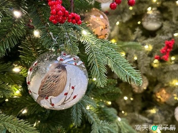 香港聖誕好去處 | 金鐘中環篇