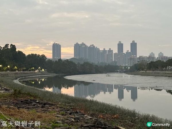 香港遊 | 元旦日南生圍賞日出