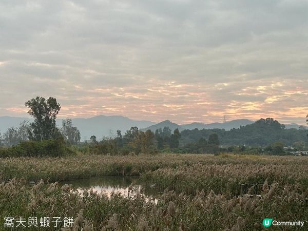 香港遊 | 元旦日南生圍賞日出