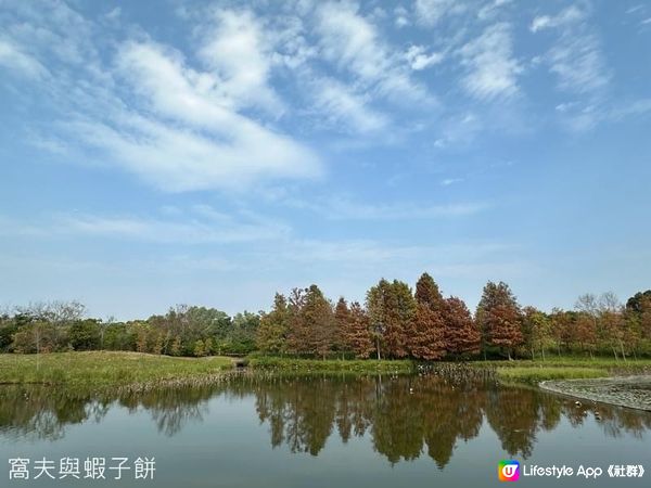 香港好去處．香港濕地公園．一月紅葉．二月李花