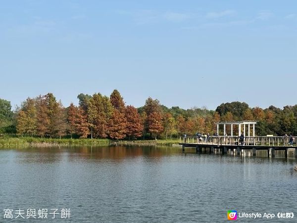 香港好去處．香港濕地公園．一月紅葉．二月李花