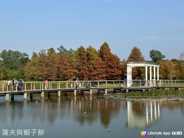 香港好去處．香港濕地公園．一月紅葉．二月李花