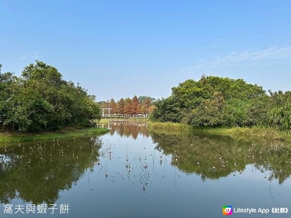 香港好去處．香港濕地公園．一月紅葉．二月李花