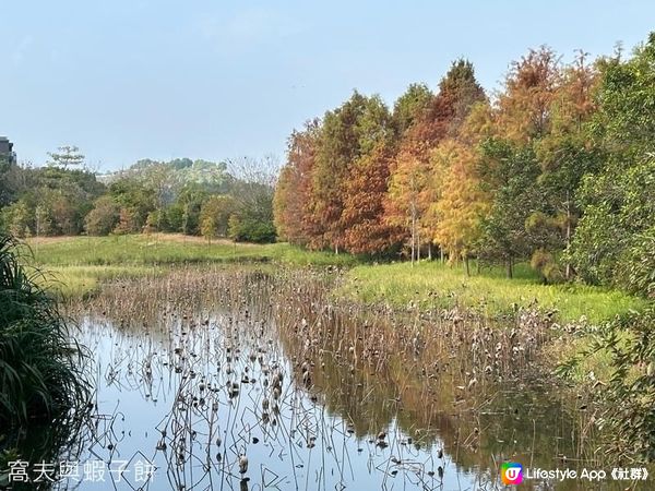 香港好去處．香港濕地公園．一月紅葉．二月李花