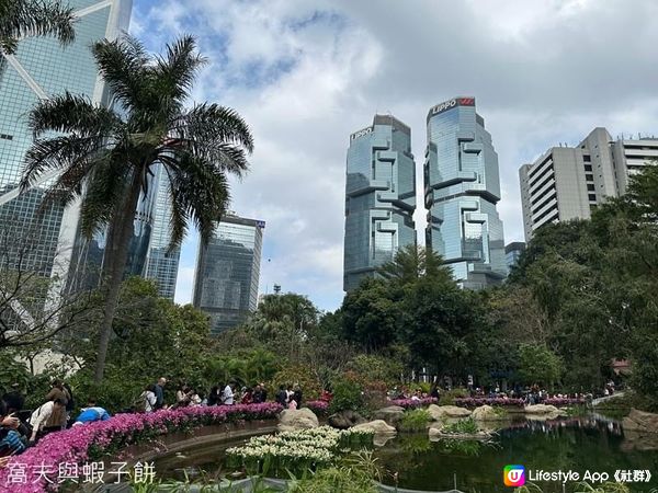 香港好去處 | 香港公園 | 大年初四賞花紀錄