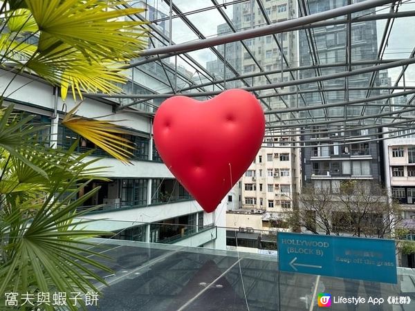 Chubby Hearts HK | 跟著紅心遊香港(下)