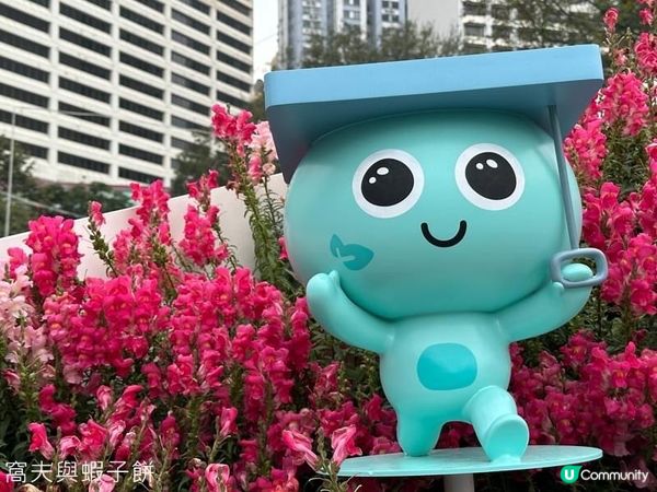 香港好去處．銅鑼灣維園花展．主題花香彩雀．金魚草