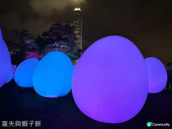 香港好去處 | 金鐘添馬公園 | teamLab: 光漣