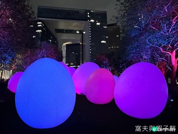 香港好去處 | 金鐘添馬公園 | teamLab: 光漣