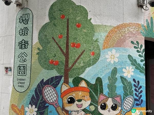 香港好去處 | 賞花 | 魚木 (上)