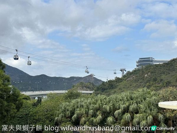 本地遊 | 東涌 | 捉緊櫻花園廣州櫻的尾巴