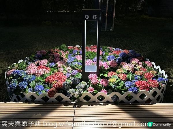 本地遊 | 情人節主題路線 | 由金鐘經海濱漫步至銅鑼灣