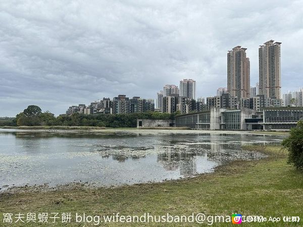 本地遊 | 香港濕地公園 | 季節限定橙紅色落羽松