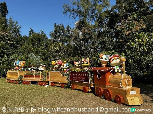 本地遊 | 香港動植物公園 | 必影打卡位蝴蝶蘭花廊