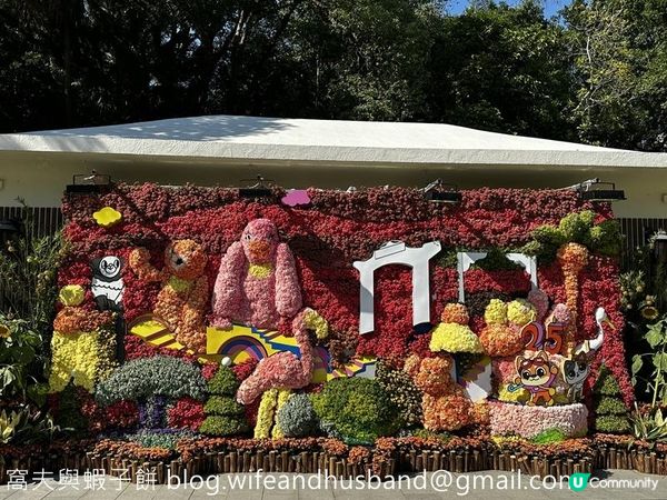本地遊 | 香港動植物公園 | 必影打卡位蝴蝶蘭花廊