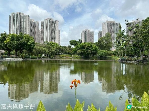 香港好去處｜天水圍公園｜荷花｜薑荷花｜百日紅