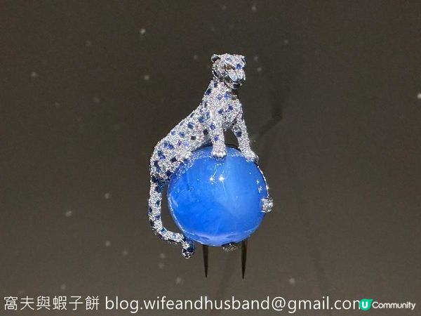 展覽 | 香港故宮文化博物館 | 百樣玲瓏——卡地亞與女性