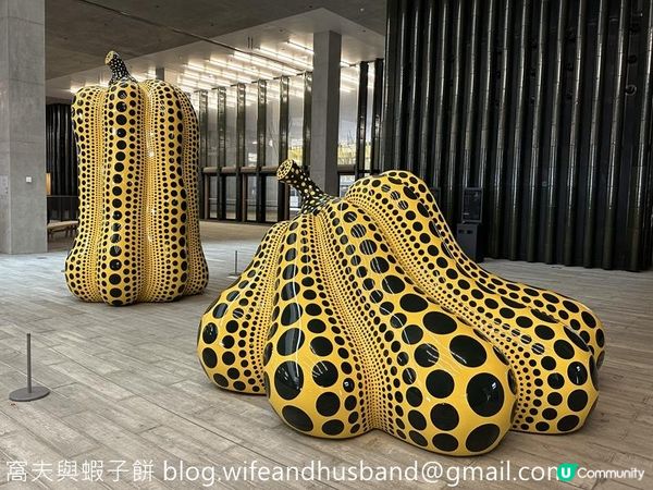 香港展覽 | M+ | 草間彌生：一九四五年至今