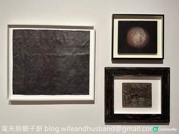 香港展覽 | M+ | 草間彌生：一九四五年至今