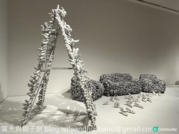 香港展覽 | M+ | 草間彌生：一九四五年至今