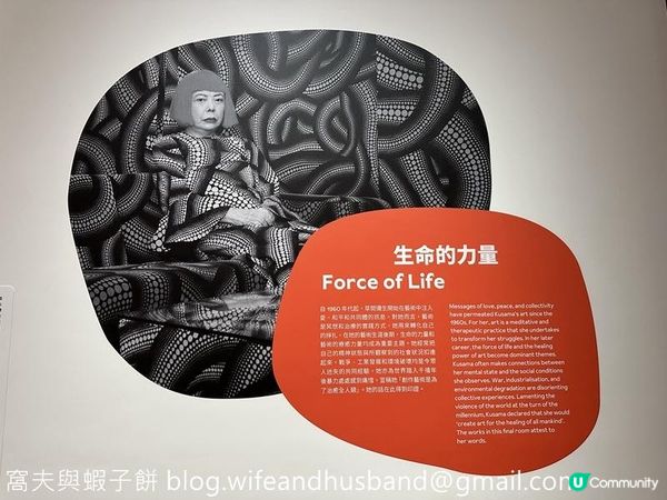 香港展覽 | M+ | 草間彌生：一九四五年至今