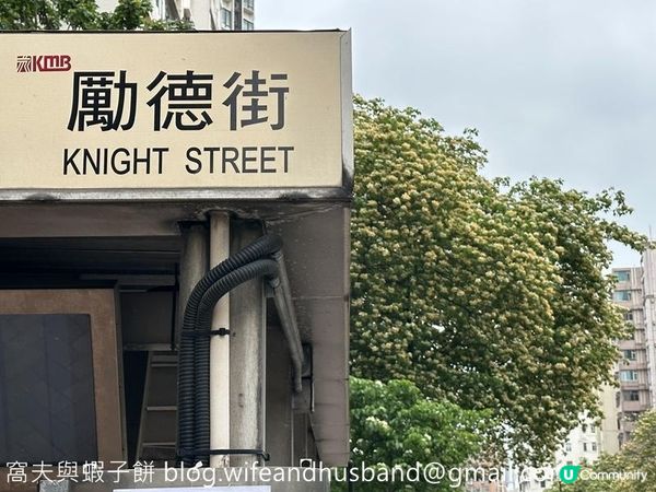 香港賞花 | 太子道西一帶魚木盛放