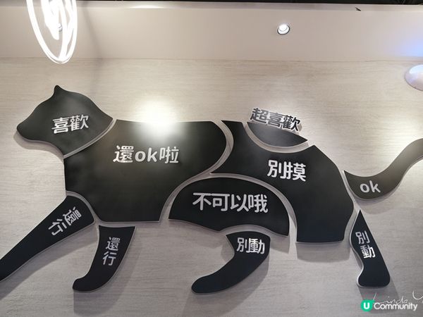 【貓奴必去】全港首間貓咪主題烤肉店 | 貓抓烤肉