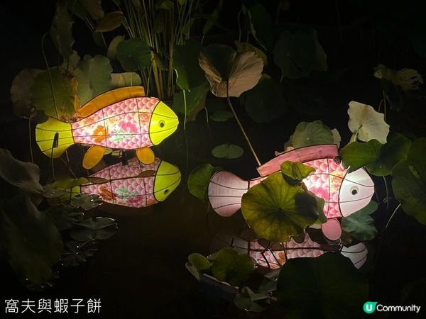 中秋好去處．香港公園．維多利亞公園綵燈會