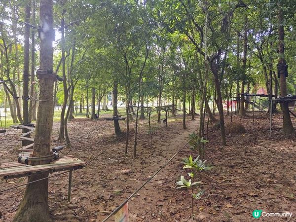 奇遇檳城。馬來西亞檳城浮羅交怡親子遊記。Day 3