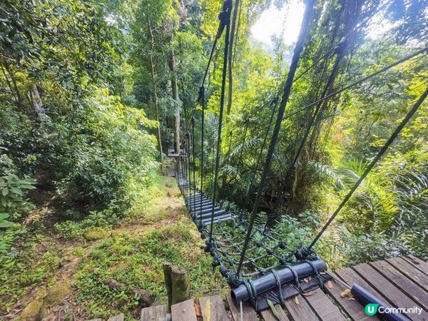 奇遇檳城。馬來西亞檳城浮羅交怡親子遊記。Day 3