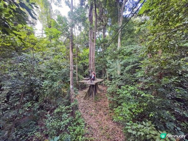 奇遇檳城。馬來西亞檳城浮羅交怡親子遊記。Day 3