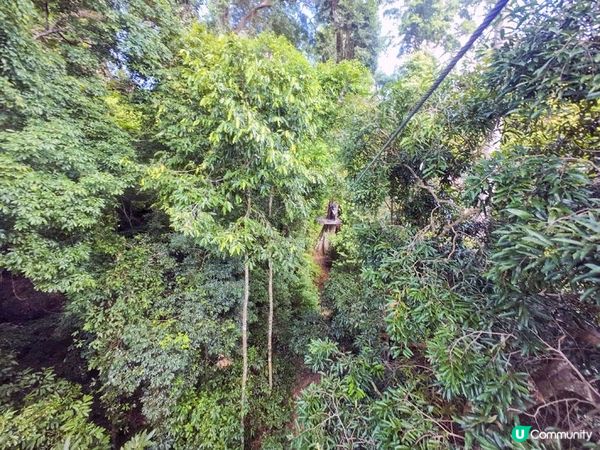 奇遇檳城。馬來西亞檳城浮羅交怡親子遊記。Day 3